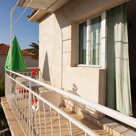Pavo * Drvenik (Split-Dalmatia)